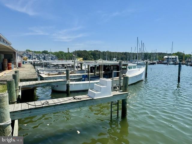 21124 STRIPER RUN, Rock Hall, MD 21661