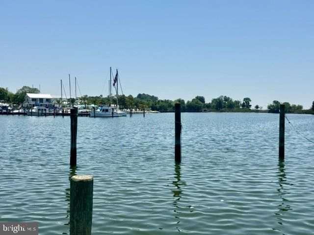 21124 STRIPER RUN, Rock Hall, MD 21661
