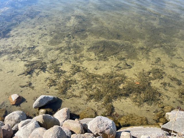 27392 Oak Point Road, Elbow Lake, MN 56531