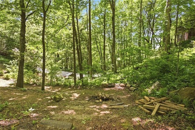 46 Spartan Lane, Rabun Gap, GA 30568