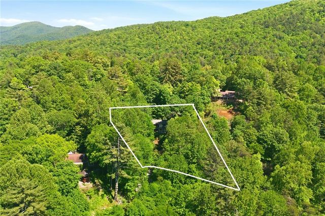46 Spartan Lane, Rabun Gap, GA 30568
