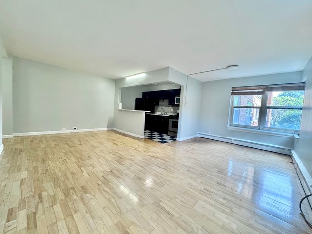 4920 N Marine Drive S208, Chicago, IL 60640