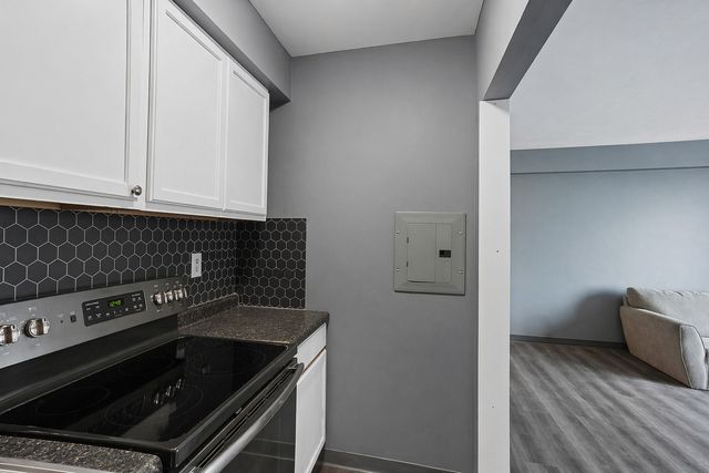 7355 S South Shore Drive 306, Chicago, IL 60649