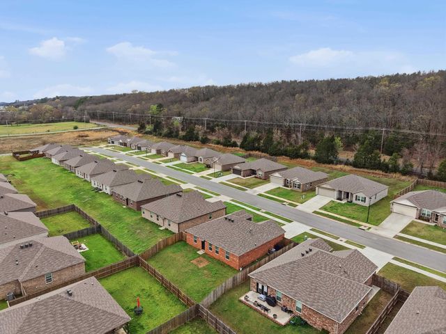 1135 Gallery Drive, Conway, AR 72032
