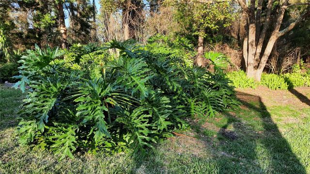 58 BURNING BUSH DRIVE, Palm Coast, FL 32137