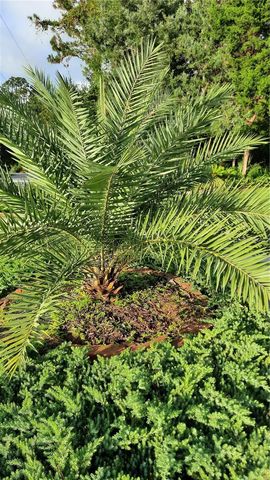 58 BURNING BUSH DRIVE, Palm Coast, FL 32137