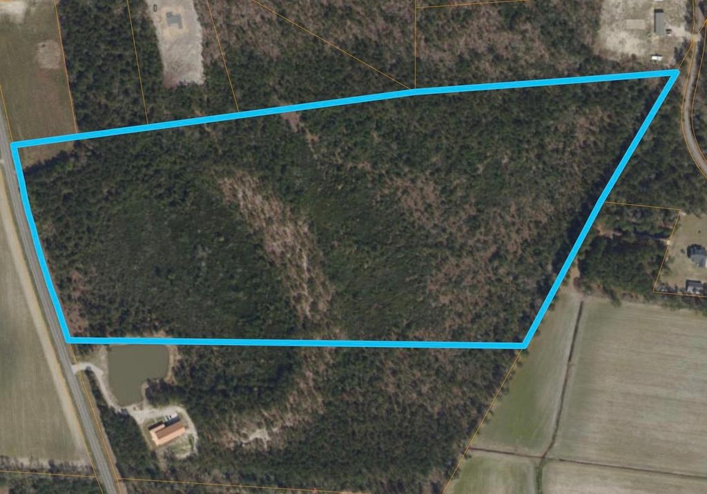TBD Mill Pond Rd., Galivants Ferry, SC 29544 — exterior