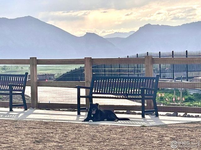 2343 Buttercup Ct, Superior, CO 80027