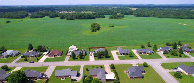 2938 Ridgewood Dr, Christiana, TN 37037