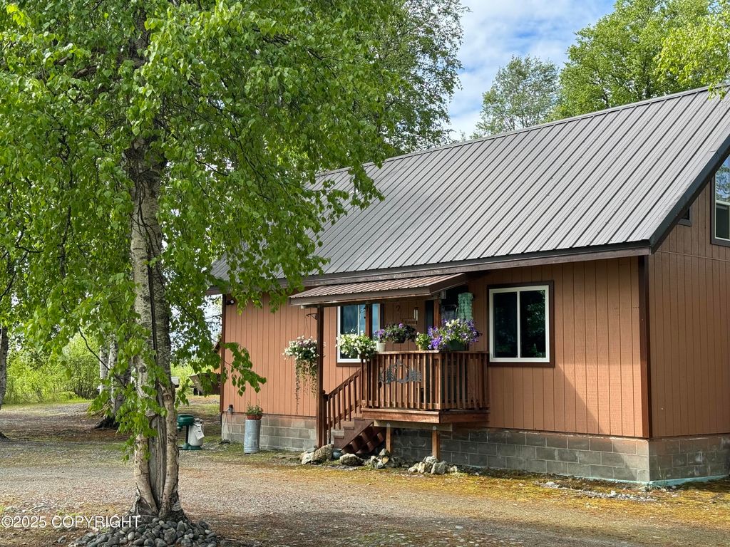 47244 S Anne Drive, Willow, AK 99688