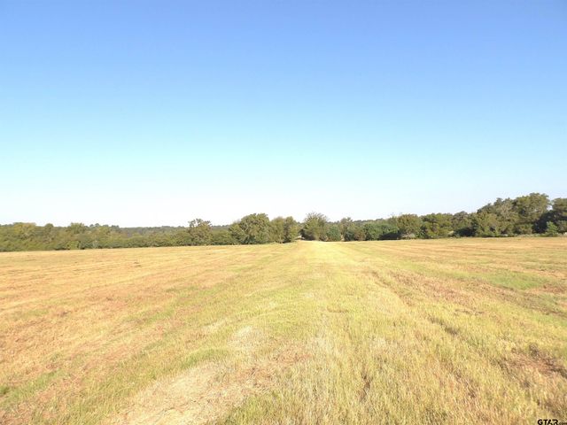 TBD CR 3495, Lovelady, TX 75851