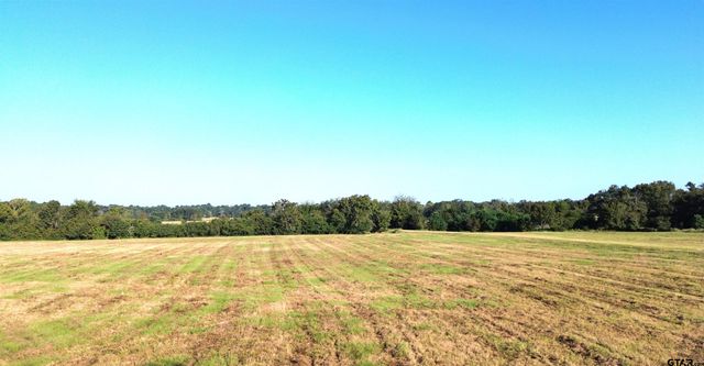 TBD CR 3495, Lovelady, TX 75851