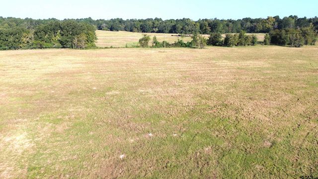TBD CR 3495, Lovelady, TX 75851