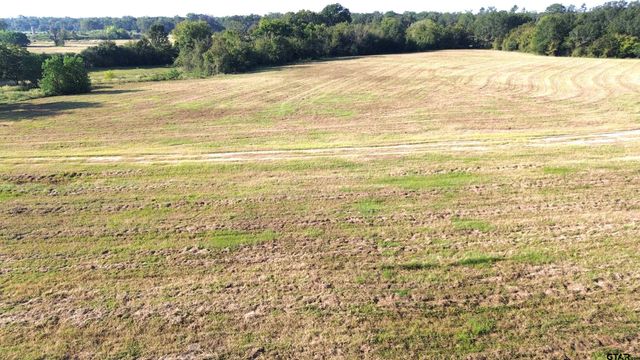 TBD CR 3495, Lovelady, TX 75851