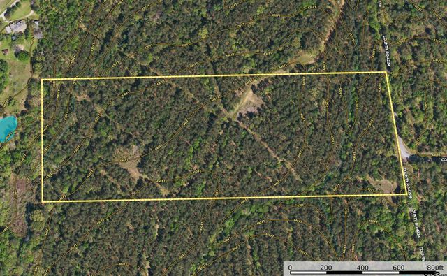 Tract 17 CR 4224, Frankston, TX 75763