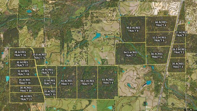 Tract 17 CR 4224, Frankston, TX 75763