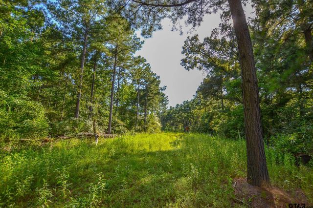 Tract 17 CR 4224, Frankston, TX 75763