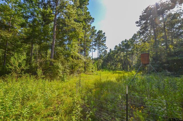 Tract 17 CR 4224, Frankston, TX 75763