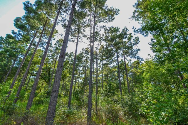 Tract 17 CR 4224, Frankston, TX 75763