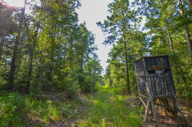 Tract 17 CR 4224, Frankston, TX 75763