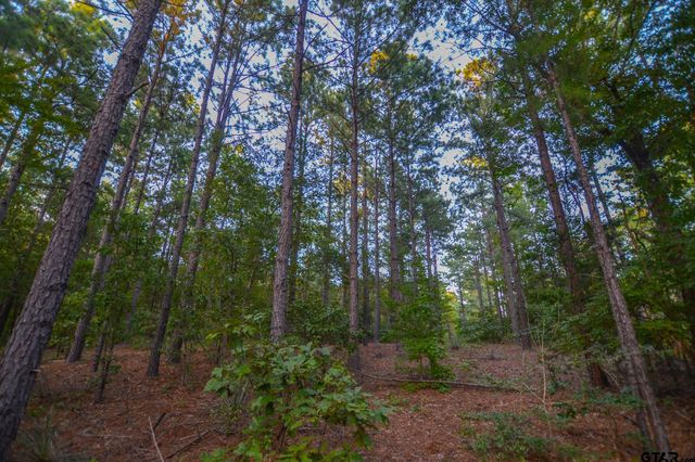 Tract 17 CR 4224, Frankston, TX 75763