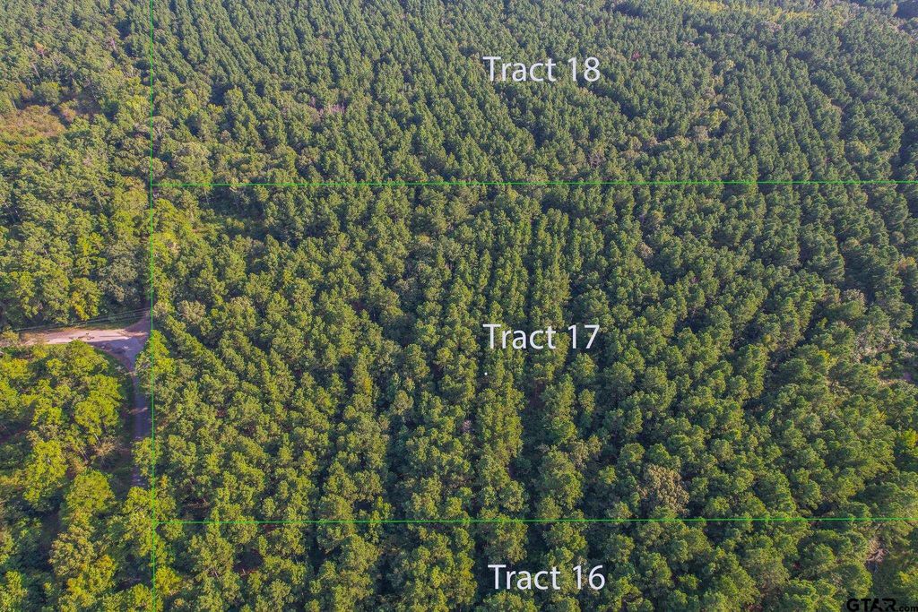 Tract 17 CR 4224, Frankston, TX 75763