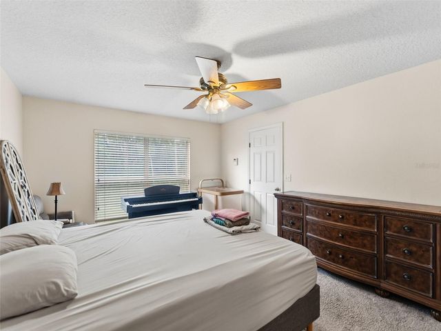 17704 NATHANS DRIVE, Tampa, FL 33647