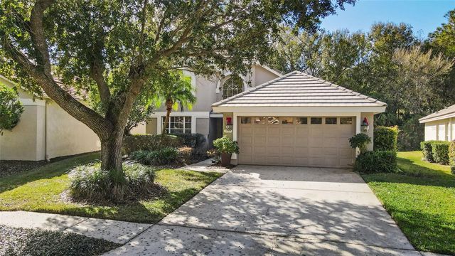 17704 NATHANS DRIVE, Tampa, FL 33647