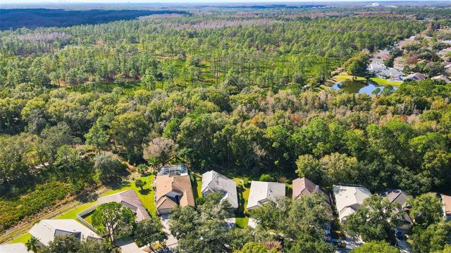 17704 NATHANS DRIVE, Tampa, FL 33647