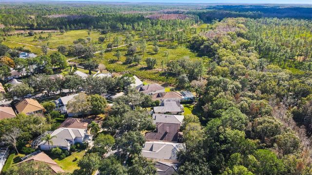 17704 NATHANS DRIVE, Tampa, FL 33647