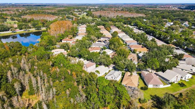 17704 NATHANS DRIVE, Tampa, FL 33647