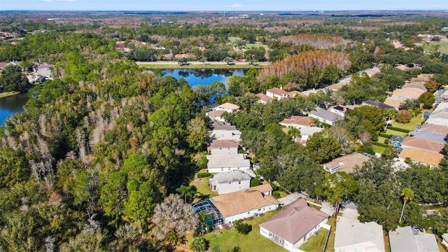 17704 NATHANS DRIVE, Tampa, FL 33647