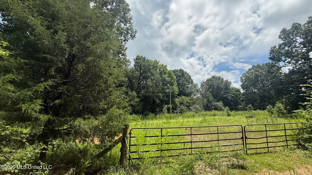 Matthews Drive, Byhalia, MS 38611 — photo 2