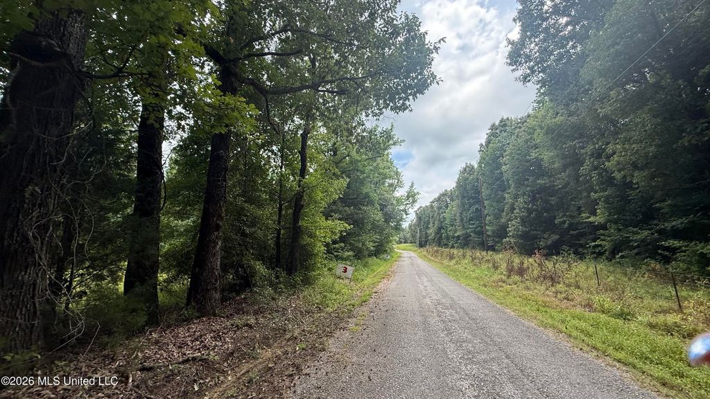 Matthews Drive, Byhalia, MS 38611 — photo 3