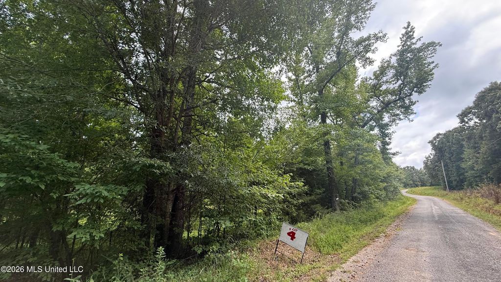 Matthews Drive, Byhalia, MS 38611 — photo 4