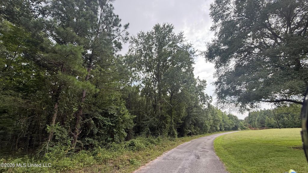 Matthews Drive, Byhalia, MS 38611 — photo 5