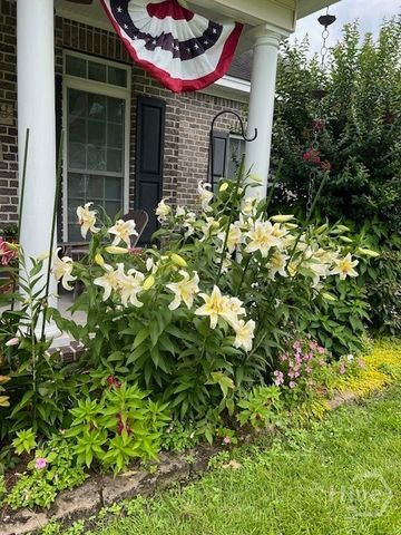 139 S Effingham Plantation Drive, Guyton, GA 31312