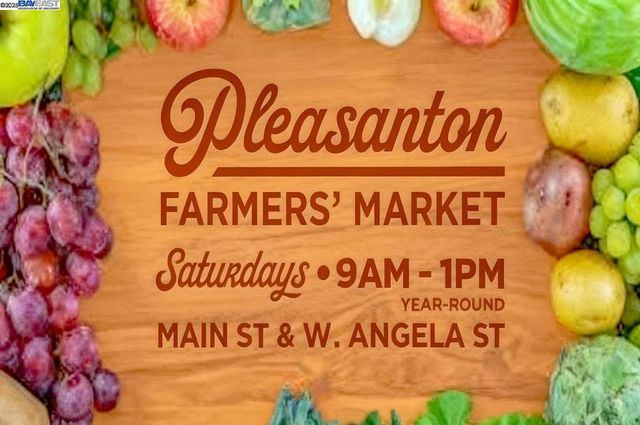 297 Del Valle Ct, Pleasanton, CA 94566