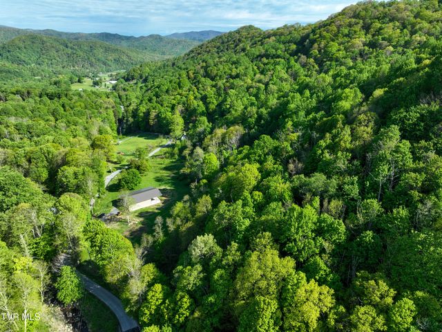 699 Heaton Creek Road, Roan Mountain, TN 37687