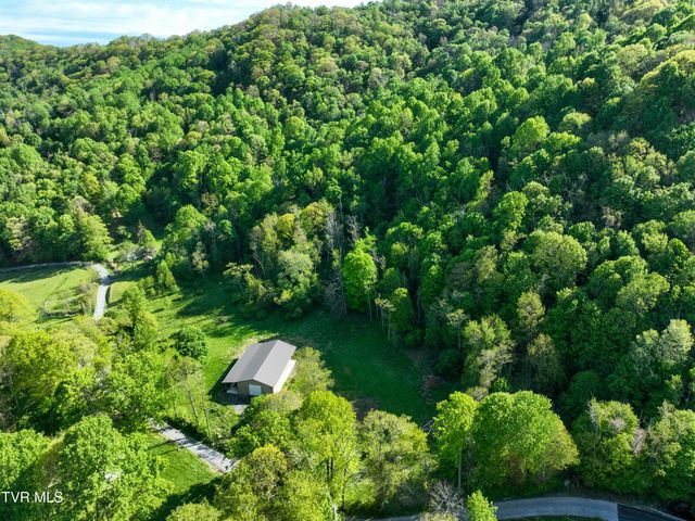 699 Heaton Creek Road, Roan Mountain, TN 37687