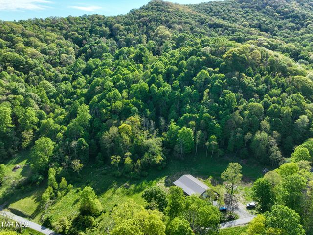 699 Heaton Creek Road, Roan Mountain, TN 37687