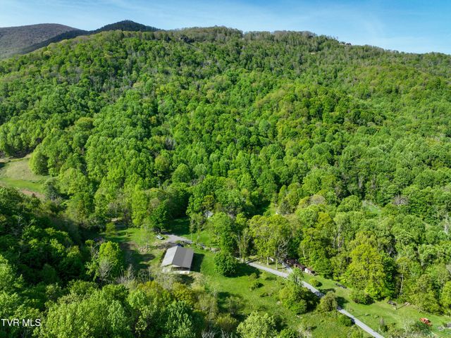 699 Heaton Creek Road, Roan Mountain, TN 37687