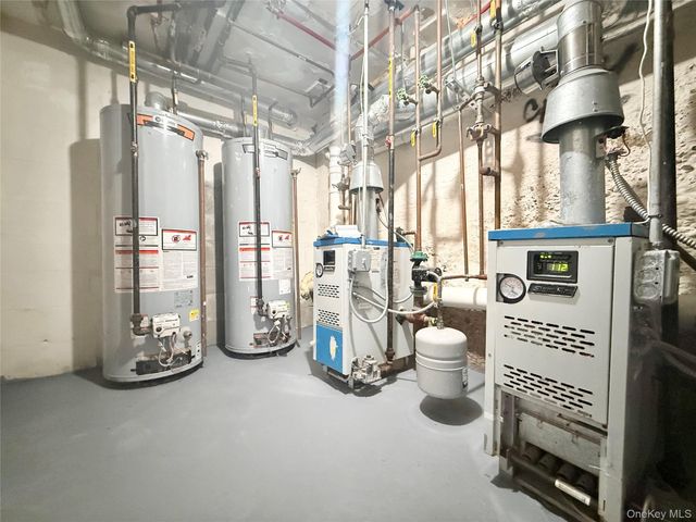 296 Eldert Lane, Brooklyn, NY 11208