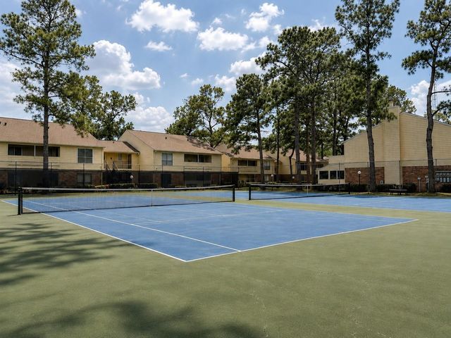 14555 Wunderlich Drive 3501, Houston, TX 77069