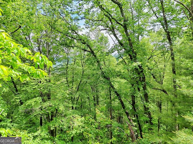 0 Alto Lane, Rabun Gap, GA 30568