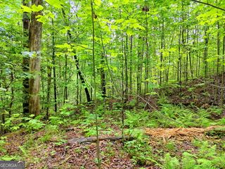 0 Alto Lane, Rabun Gap, GA 30568