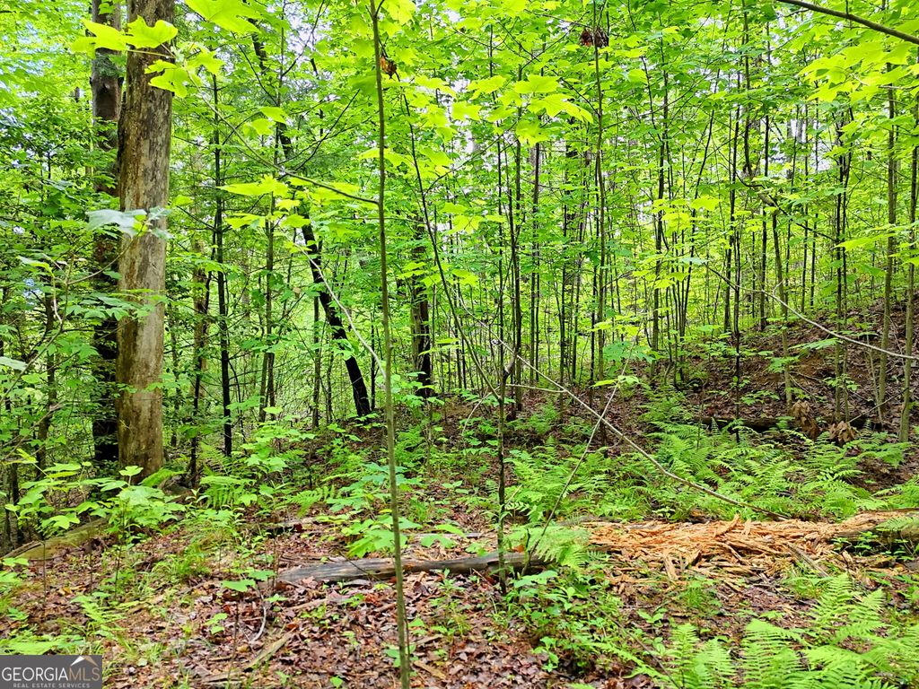 0 Alto Lane, Rabun Gap, GA 30568