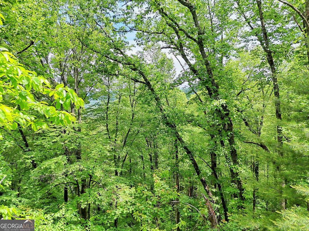 0 Alto Lane, Rabun Gap, GA 30568 — photo 5