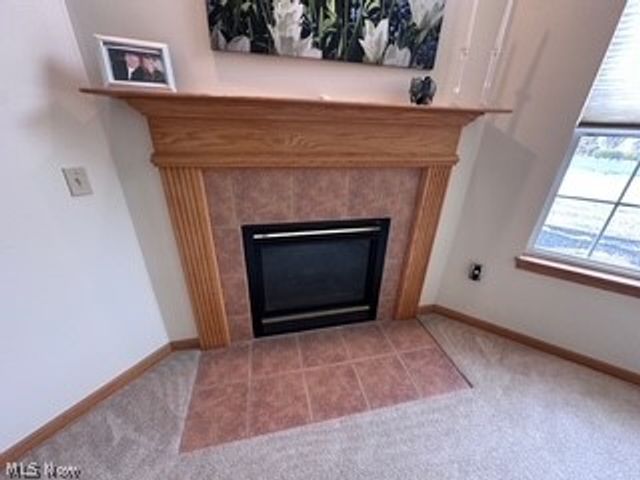 2041 Marsh Lane, Painesville Twp, OH 44077