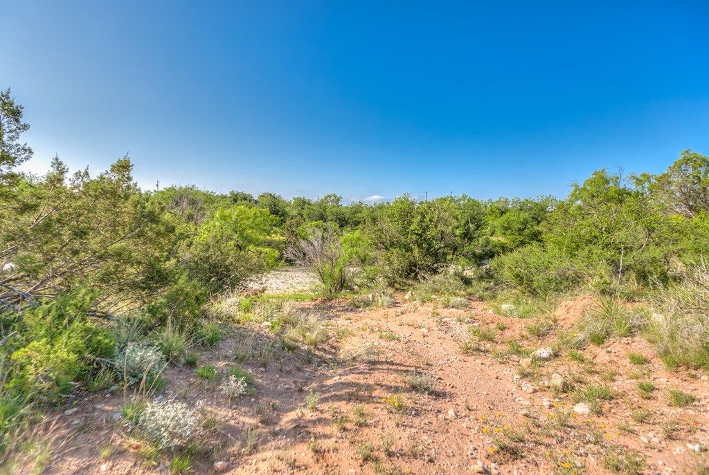 Image 32 of property listing at 00 Other, Robert Lee, TX 76945